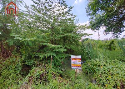 Vacant lot for sale with visible signage and lush vegetation