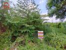 Vacant lot for sale with visible signage and lush vegetation