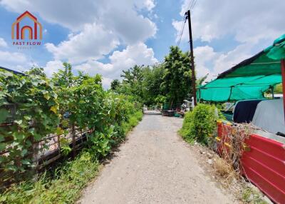 Outdoor path surrounded by greenery