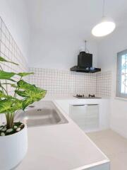 Modern kitchen with white cabinets and tiled backsplash