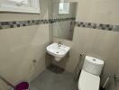 Modern bathroom with sink, mirror, toilet, and cleaning supplies