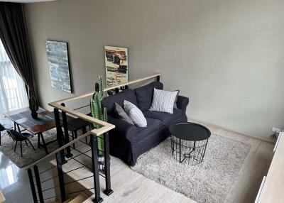 Modern living room with a black sofa, coffee table, and indoor plants