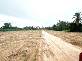 Large plot of land in the Mabprachan area