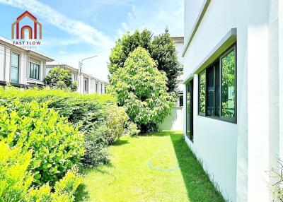 Outdoor garden with lush greenery and adjacent building