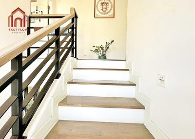 Staircase with minimalist design and potted plant