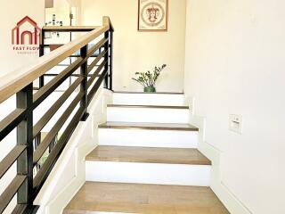 Staircase with minimalist design and potted plant