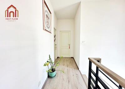 Bright hallway with a plant and modern decor