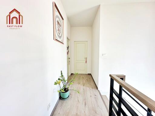 Bright hallway with a plant and modern decor