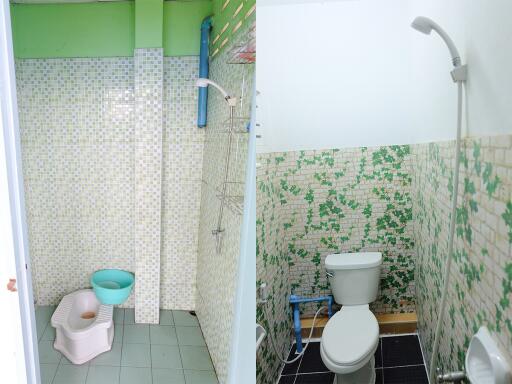 A bathroom with tiled walls, a squat toilet, and a shower area.