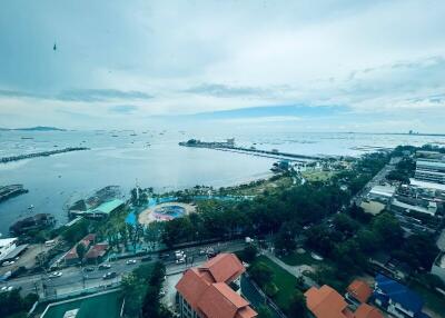 Aerial view of coastal area with buildings and lush greenery