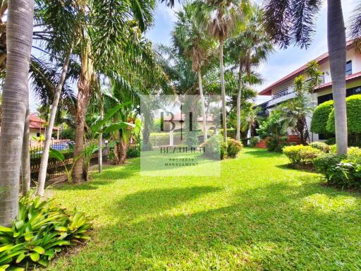 Lush green garden with trees and plants