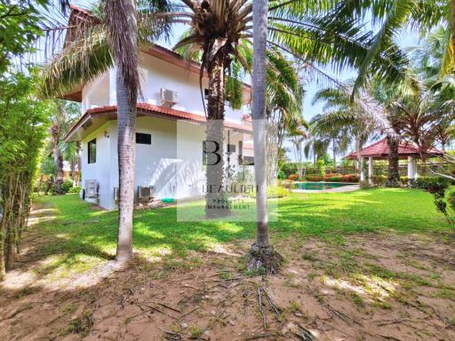 Beautiful large backyard with palm trees and lush greenery