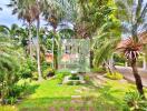 Outdoor garden with fountain