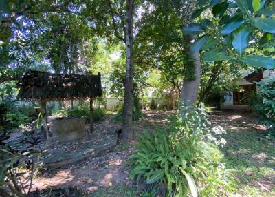 A family home for sale in San Sai, Chiang Mai