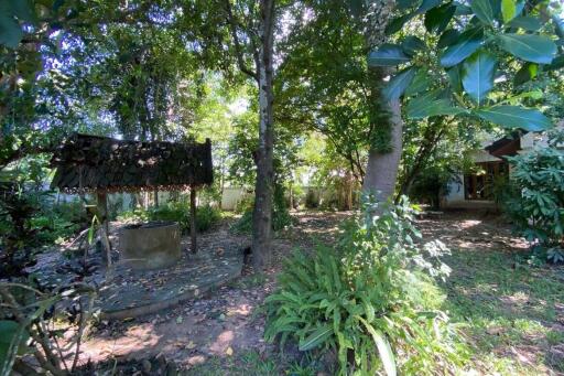 A family home for sale in San Sai, Chiang Mai