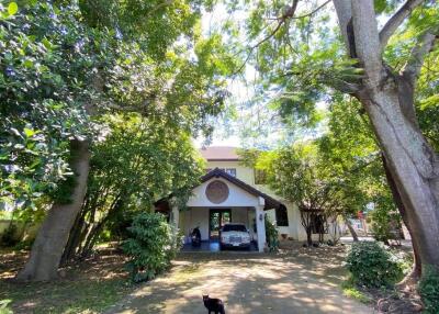 A family home for sale in San Sai, Chiang Mai