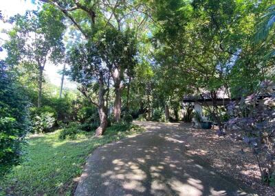 A family home for sale in San Sai, Chiang Mai