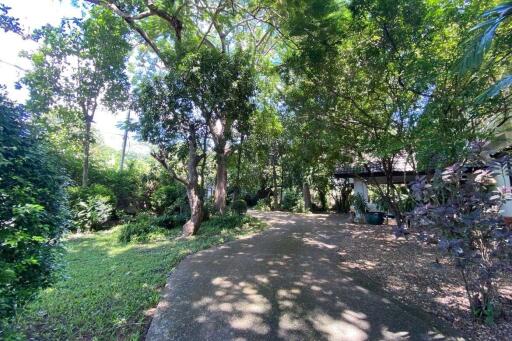 A family home for sale in San Sai, Chiang Mai