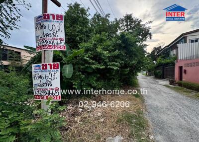 Property advertisement signs on a street with surrounding greenery