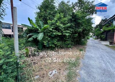 Exterior view of a property showing surrounding greenery and a road