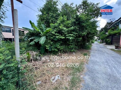 Exterior view of a property showing surrounding greenery and a road