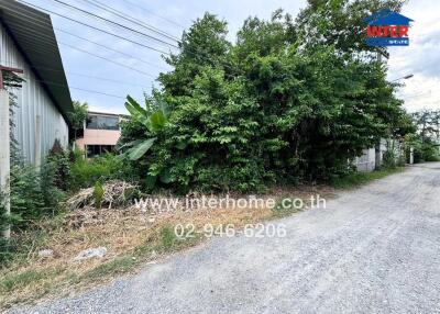 Gravel driveway surrounded by greenery and adjacent buildings