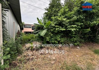 Outdoor area with dense vegetation