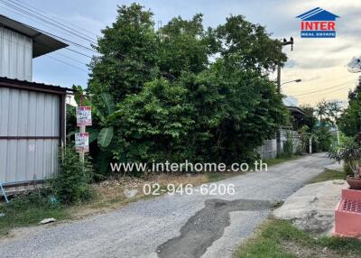 Street with greenery and a building