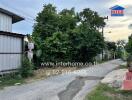 Street with greenery and a building