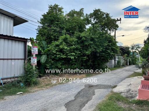 Street with greenery and a building