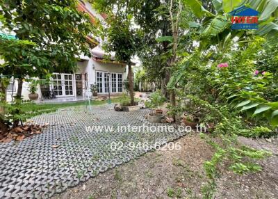 Garden area with lush greenery and paved walkway