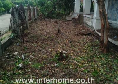 Overgrown front yard of a property in need of landscaping