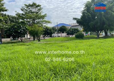 Photo of a grassy lawn with trees