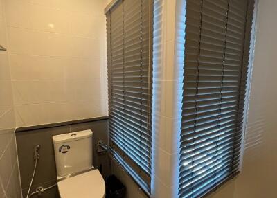 Modern bathroom with toilet and two windows with blinds