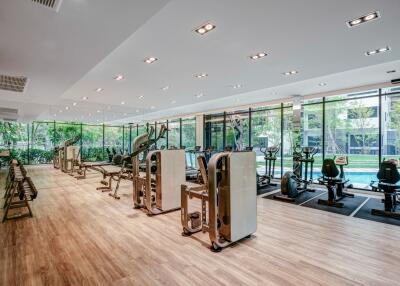 Modern gym with large windows and various exercise equipment