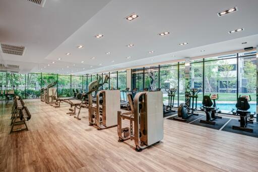 Modern gym with large windows and various exercise equipment