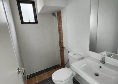 Small bathroom with a shower, toilet, and sink