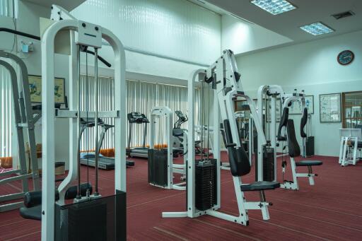 Gym with workout machines