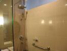 Modern bathroom with shower