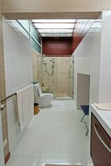 Modern bathroom with glass shower door and skylight