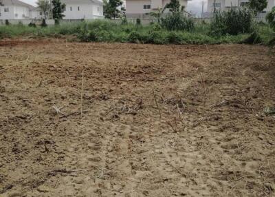 1 Rai Land For Sale in Ban Du Near To Big C 2 and Airport