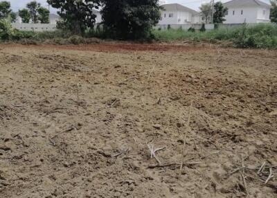 1 Rai Land For Sale in Ban Du Near To Big C 2 and Airport