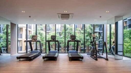 modern gym with large windows and fitness equipment