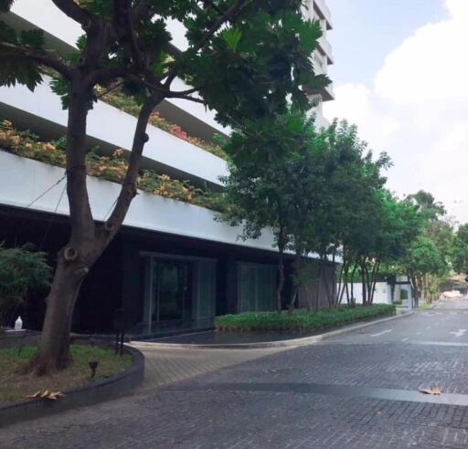 Exterior view of a building with trees and a driveway