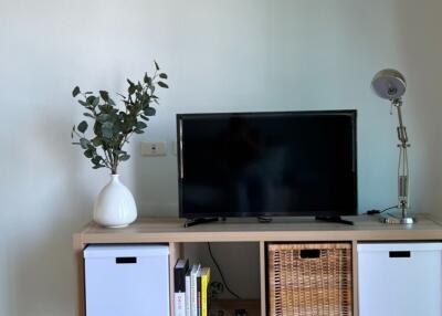 Modern living room with TV and storage unit