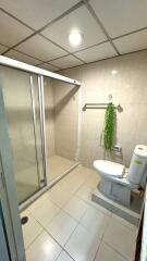 Photograph of a bathroom with a shower enclosure, toilet, and green plant décor