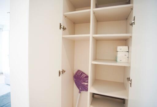 Open pantry shelves and cleaning supplies