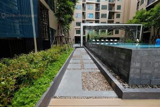 Garden area with a pathway leading to a swimming pool