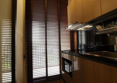 Modern kitchen with brown cabinets and large blinds