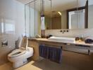 Modern bathroom with toilet and large mirror